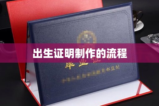 托克托出生证明制作的流程